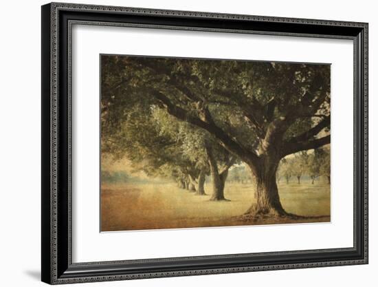 Island Oak-William Guion-Framed Giclee Print