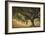 Island Oak-William Guion-Framed Giclee Print