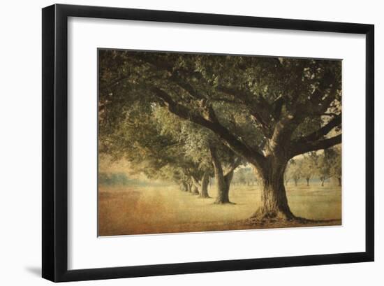 Island Oak-William Guion-Framed Giclee Print