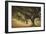 Island Oak-William Guion-Framed Giclee Print