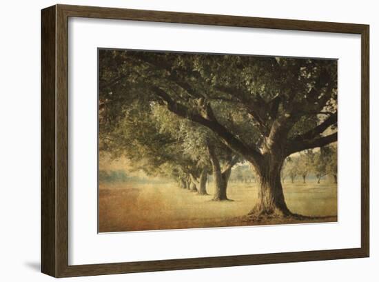 Island Oak-William Guion-Framed Giclee Print