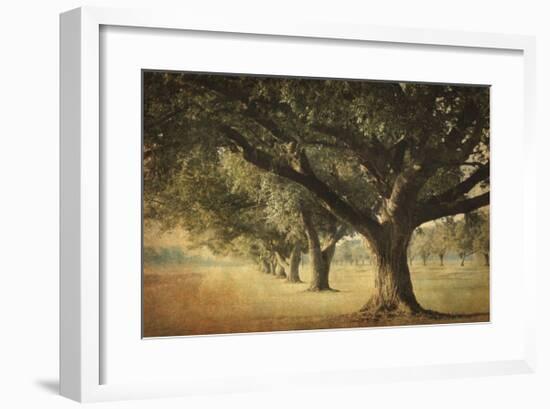 Island Oak-William Guion-Framed Giclee Print