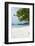 Island of Espiritu Santo, Vanuatu, South Pacific-Michael Runkel-Framed Photographic Print