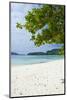 Island of Espiritu Santo, Vanuatu, South Pacific-Michael Runkel-Mounted Photographic Print