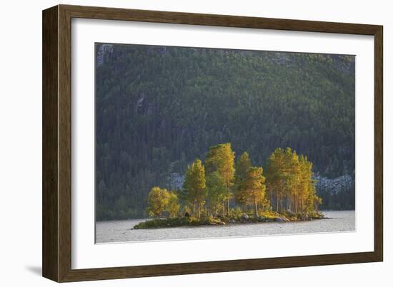 Island of Trees-Staffan Widstrand-Framed Giclee Print