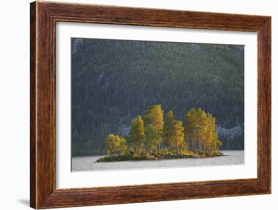 Island of Trees-Staffan Widstrand-Framed Giclee Print