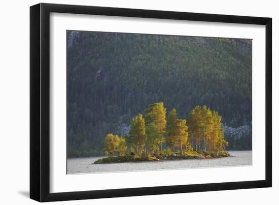 Island of Trees-Staffan Widstrand-Framed Giclee Print