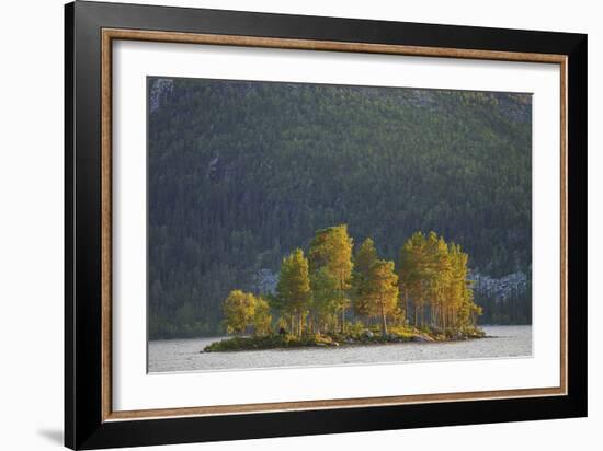 Island of Trees-Staffan Widstrand-Framed Giclee Print