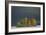 Island of Trees-Staffan Widstrand-Framed Giclee Print