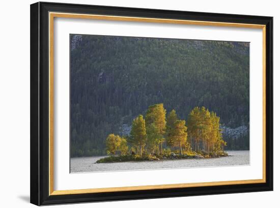 Island of Trees-Staffan Widstrand-Framed Giclee Print