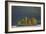 Island of Trees-Staffan Widstrand-Framed Giclee Print