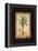 Island Palm-Chad Barrett-Framed Stretched Canvas