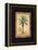 Island Palm-Chad Barrett-Framed Stretched Canvas