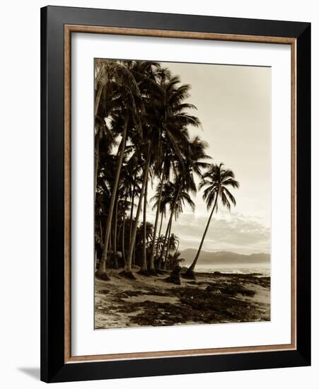 Island Palms I-null-Framed Photographic Print