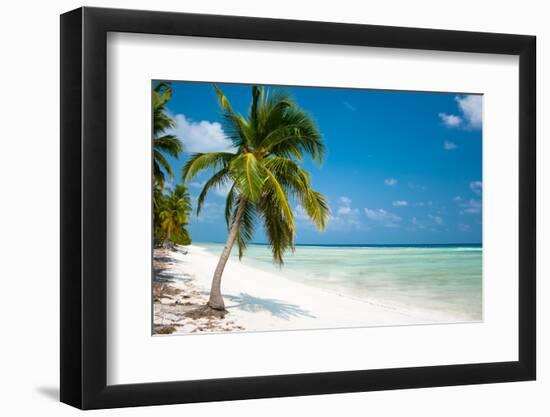 Island Paradise - Palm Trees Hanging over a Sandy White Beach with Stunning Turquoise Waters and Wh-Aleksandar Todorovic-Framed Photographic Print