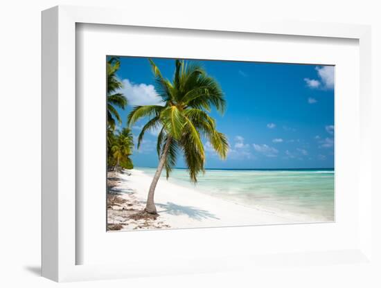 Island Paradise - Palm Trees Hanging over a Sandy White Beach with Stunning Turquoise Waters and Wh-Aleksandar Todorovic-Framed Photographic Print