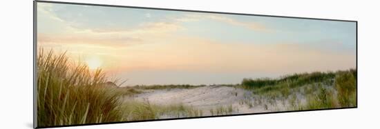 Island Sand Dunes Sunrise No. 1-Alan Blaustein-Mounted Photographic Print