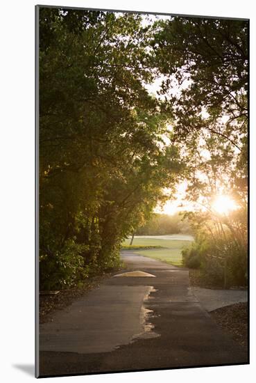 Island Stroll-Karyn Millet-Mounted Photo