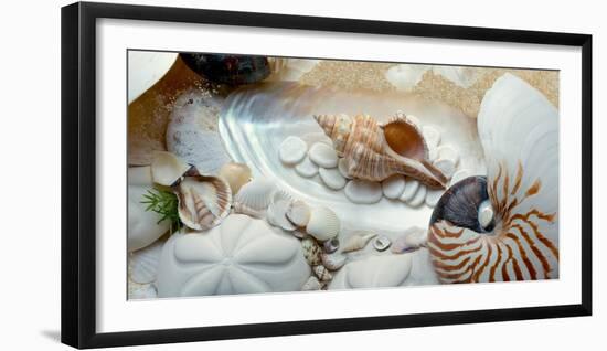 Island Tide Pool No. 1-Alan Blaustein-Framed Photographic Print