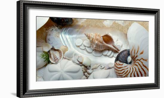 Island Tide Pool No. 1-Alan Blaustein-Framed Photographic Print