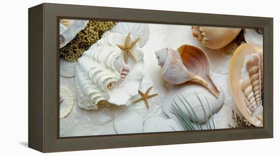 Island Tide Pool No. 3-Alan Blaustein-Framed Premier Image Canvas