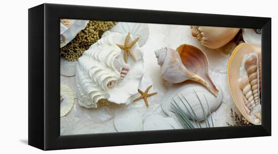 Island Tide Pool No. 3-Alan Blaustein-Framed Premier Image Canvas