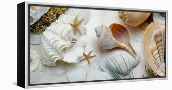 Island Tide Pool No. 3-Alan Blaustein-Framed Premier Image Canvas