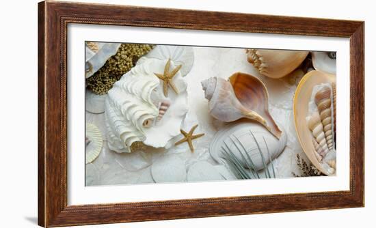 Island Tide Pool No. 3-Alan Blaustein-Framed Photographic Print