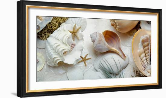 Island Tide Pool No. 3-Alan Blaustein-Framed Photographic Print