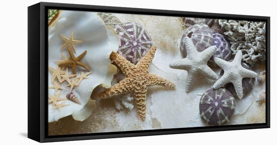 Island Tide Pool No. 4-Alan Blaustein-Framed Premier Image Canvas