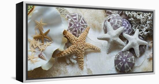 Island Tide Pool No. 4-Alan Blaustein-Framed Premier Image Canvas