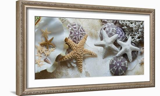 Island Tide Pool No. 4-Alan Blaustein-Framed Photographic Print