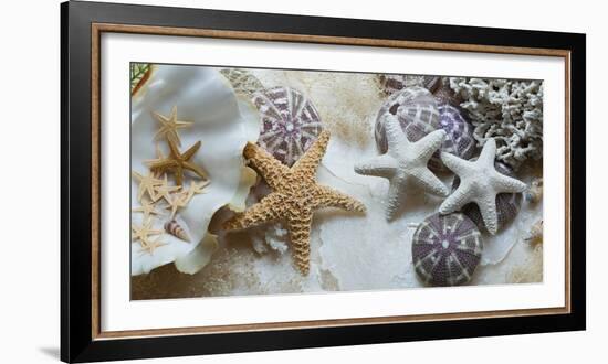 Island Tide Pool No. 4-Alan Blaustein-Framed Photographic Print