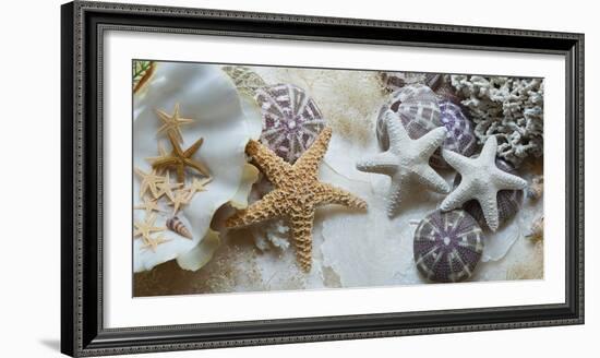 Island Tide Pool No. 4-Alan Blaustein-Framed Photographic Print