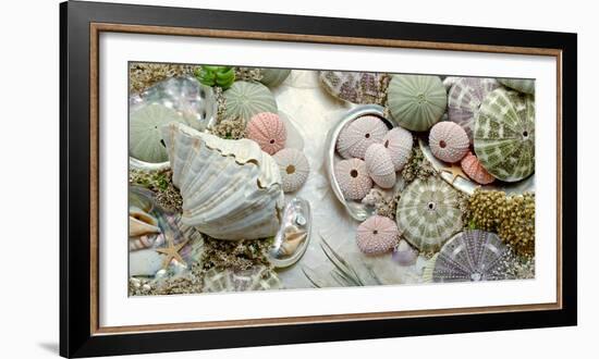 Island Tide Pool No. 7-Alan Blaustein-Framed Photographic Print