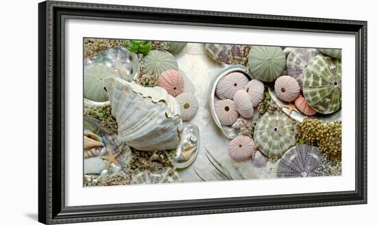 Island Tide Pool No. 7-Alan Blaustein-Framed Photographic Print