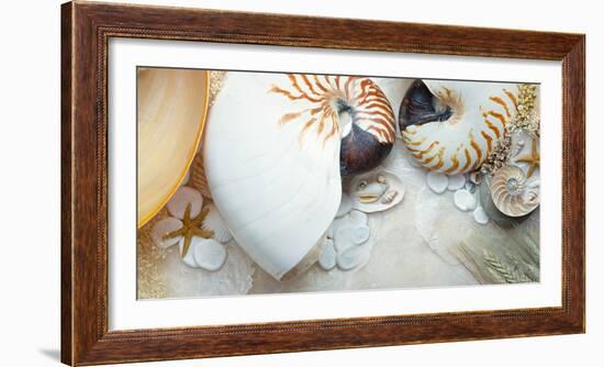 Island Tide Pool No. 8-Alan Blaustein-Framed Photographic Print