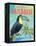 Island Time Toucan II-Beth Grove-Framed Stretched Canvas