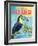 Island Time Tucan II Bright-Beth Grove-Framed Art Print