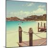 Island Vacation I-Susan Bryant-Mounted Photographic Print