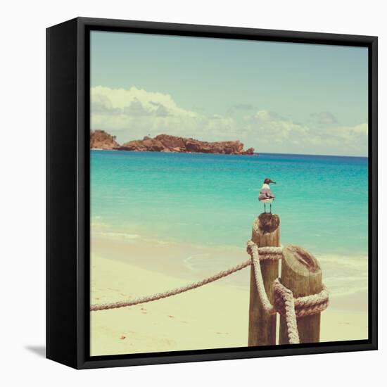 Island Vacation II-Susan Bryant-Framed Premier Image Canvas