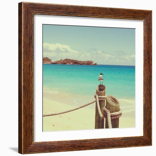 Island Vacation II-Susan Bryant-Framed Photographic Print