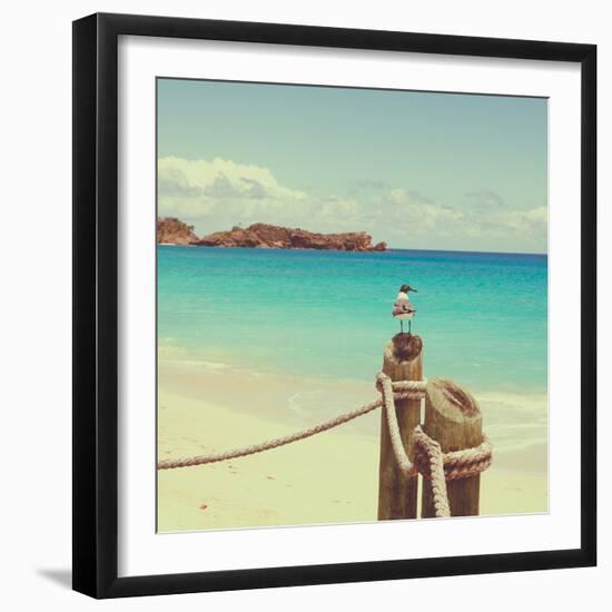 Island Vacation II-Susan Bryant-Framed Photographic Print