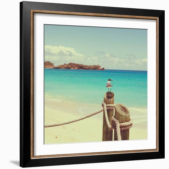Island Vacation II-Susan Bryant-Framed Photographic Print