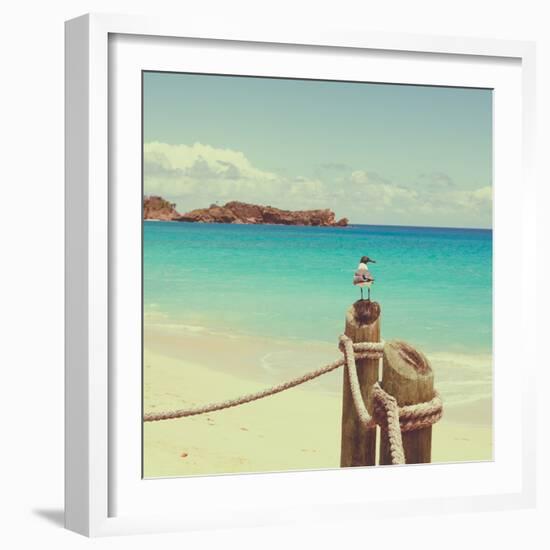 Island Vacation II-Susan Bryant-Framed Photographic Print