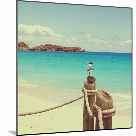 Island Vacation II-Susan Bryant-Mounted Photographic Print