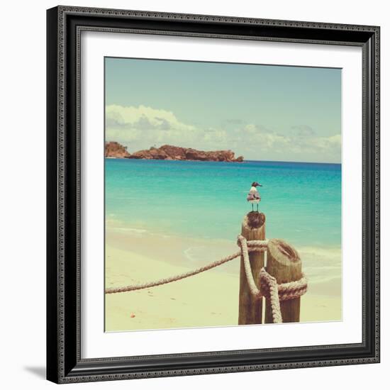 Island Vacation II-Susan Bryant-Framed Photographic Print