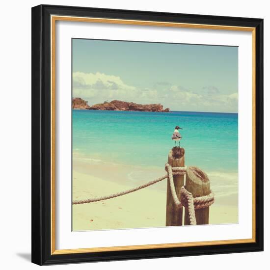 Island Vacation II-Susan Bryant-Framed Photographic Print