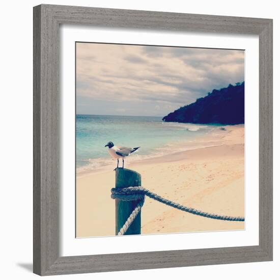 Island Vacation III-Susan Bryant-Framed Photographic Print