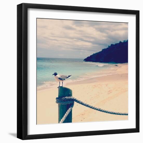 Island Vacation III-Susan Bryant-Framed Photographic Print